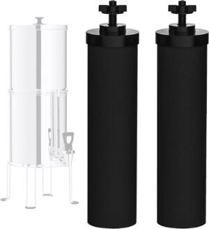 NSF/ANSI 42 Certified Black Purific...