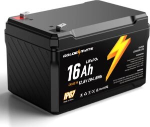 GOLDENMATE 12V 16Ah LiFePO4 Lithium...