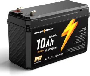 GOLDENMATE 12V 10Ah LiFePO4 Lithium...