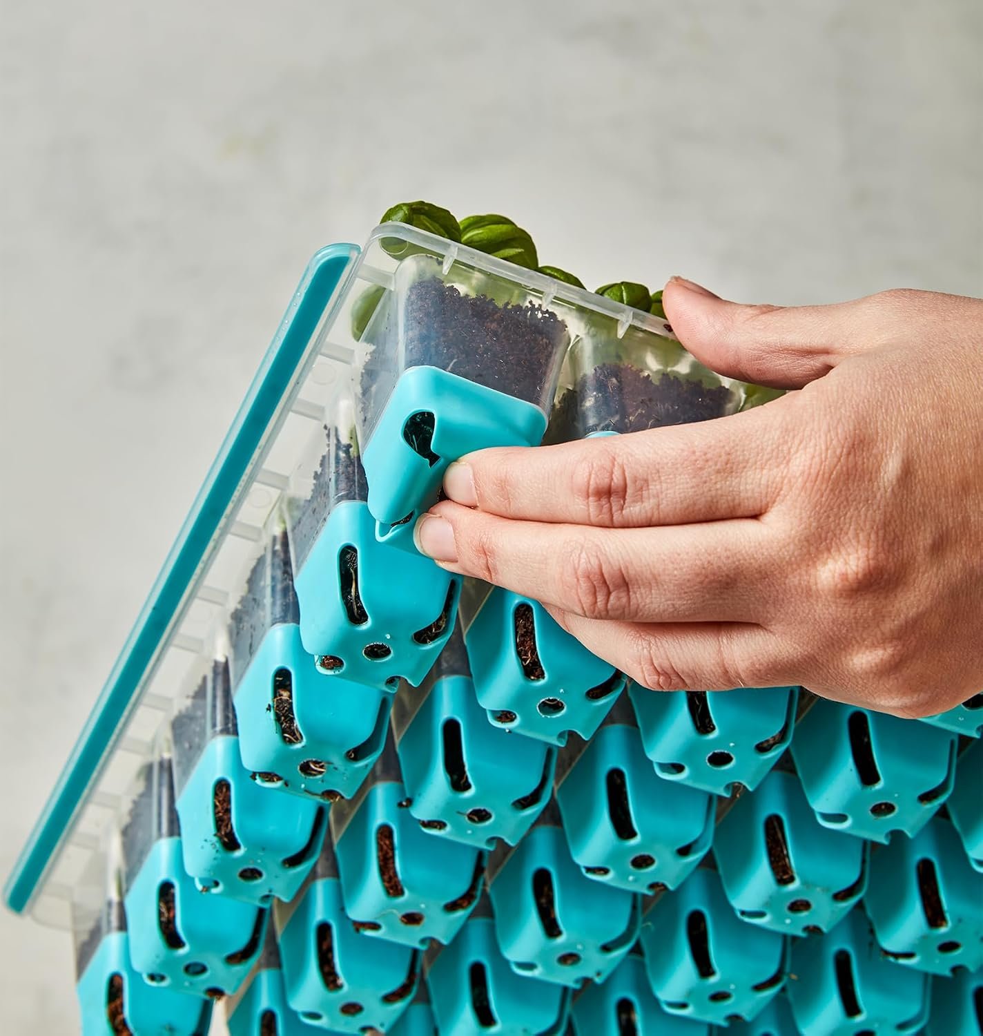 Burpee SuperSeed 36-Cell Reusable Seed Starting Tray for Indoor Seedlings - Image 7