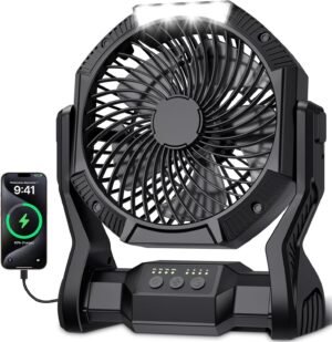 Portable Rechargeable Fan, 20000mAh...
