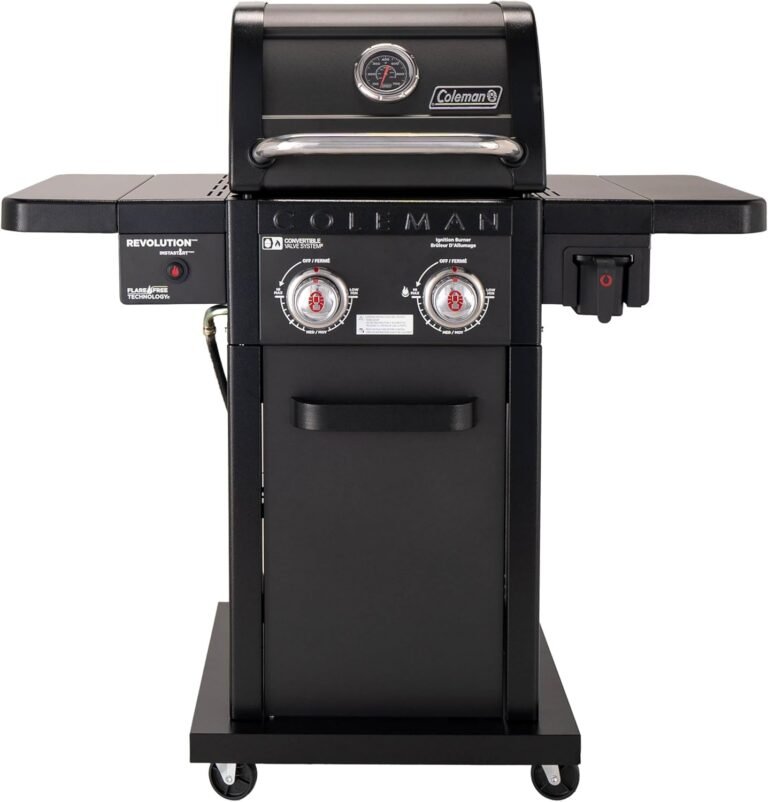 Portable Propane Grills