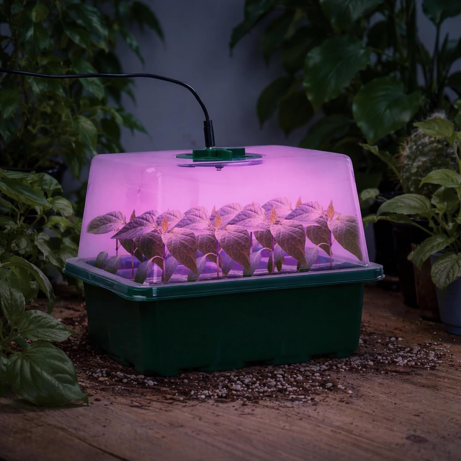 Bonviee Seed Starter Trays with 12-LED Grow Lights, Green, 5 Pack - Image 8