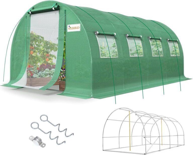 KING BIRD Premium 20x10x6.6FT Greenhouse for Outdoors Large Walk-in House