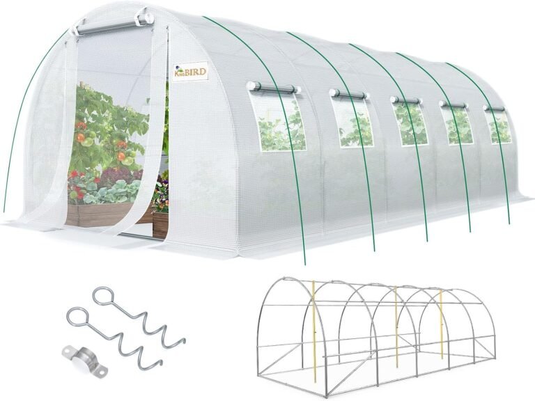 KING BIRD Premium 25x10x6.6FT Greenhouse for Outdoors, Large Walk-in House