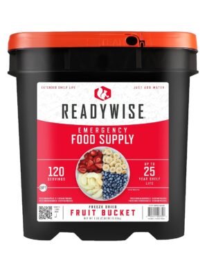 READYWISE Emergency Food Survival S...