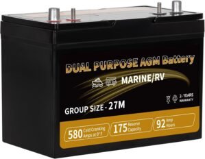 Weize Dual Purpose AGM Battery BCI ...