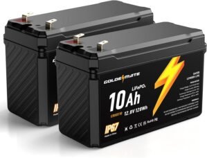 GOLDENMATE 12V 10Ah Lithium LiFePO4...