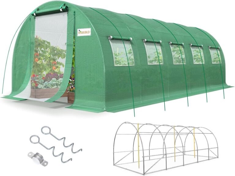 KING BIRD Premium 25x10x6.6FT Greenhouse for Outdoors, Large Walk-in House
