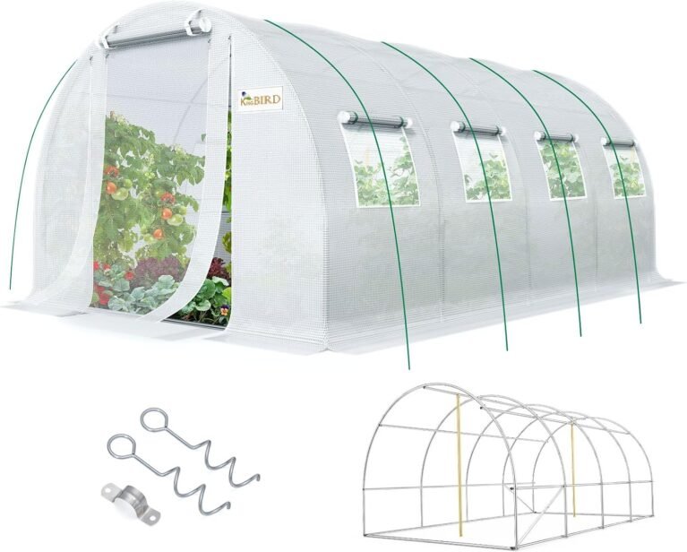 KING BIRD Premium 20x10x6.6FT Greenhouse for Outdoors Large Walk-in House