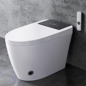 Smart Toilet with Bidet Built in, O...