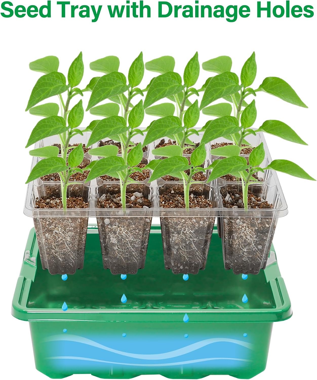 Bonviee Seed Starter Trays with 12-LED Grow Lights, Green, 5 Pack - Image 6