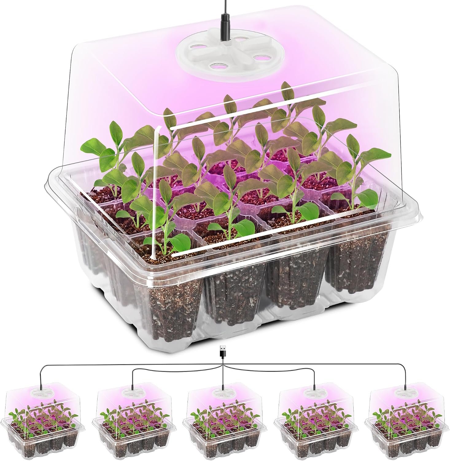 Bonviee Seed Starter Trays with 12-LED Grow Lights, Clear, 5 Pack
