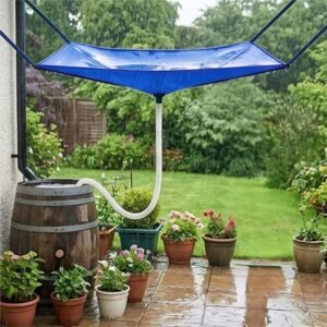 Rainwater Collection System with Ho...