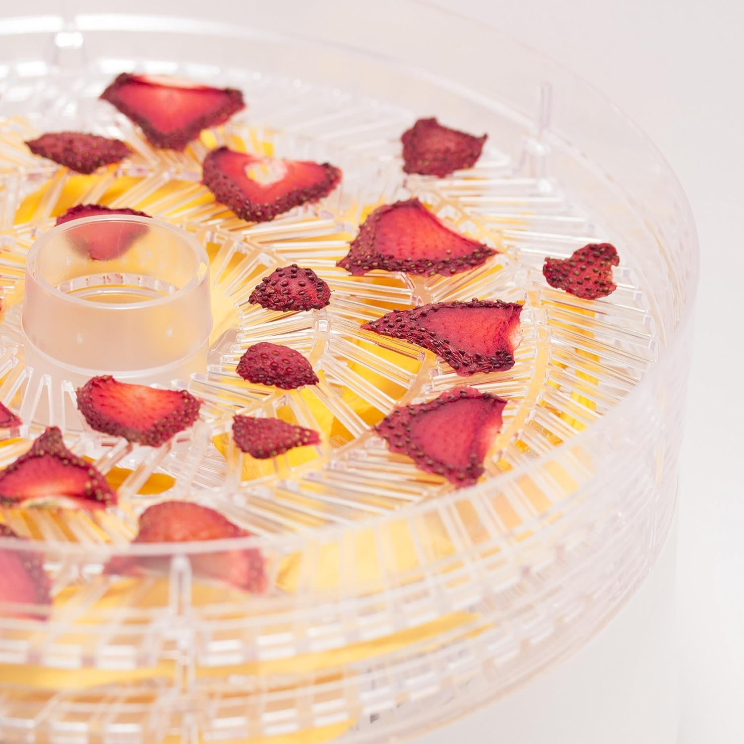 Commercial Chef Food Dehydrator, Five 9.25” BPA-Free Trays, CCD100W6, White - Image 2