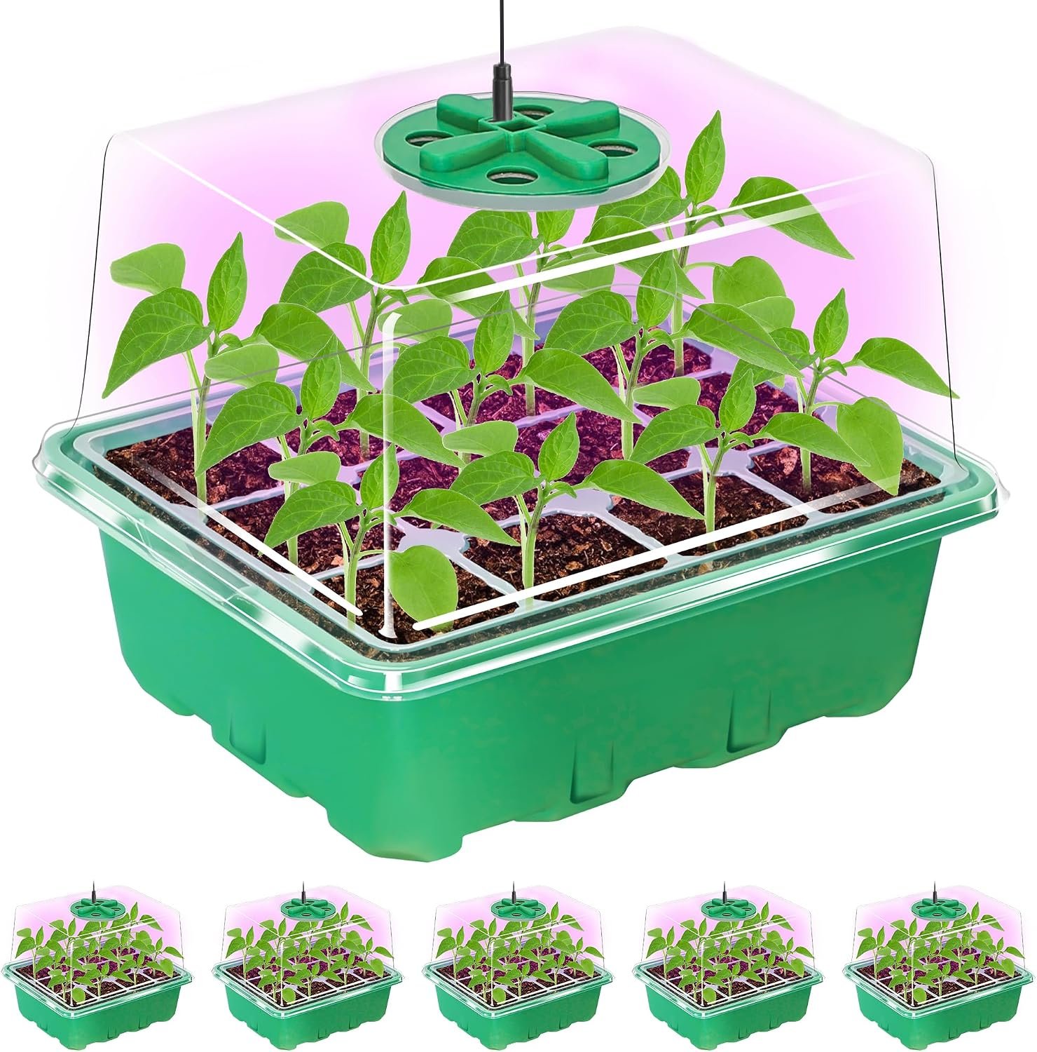 Bonviee Seed Starter Trays with 12-LED Grow Lights, Green, 5 Pack