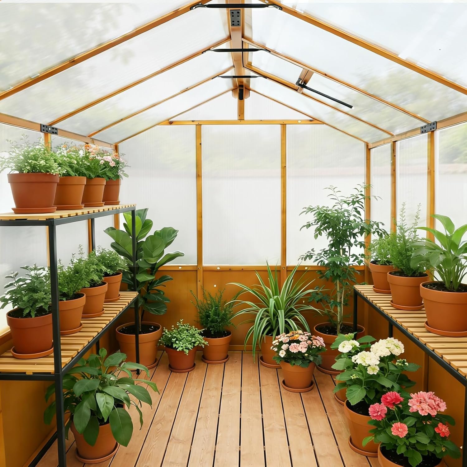 COOS BAY 6x8ft Cedar Wood Greenhouse with Roof Vents, Outdoor Greenhouse Kit, Weather Resistant Plant Garden House, Natural Cedar - Image 5