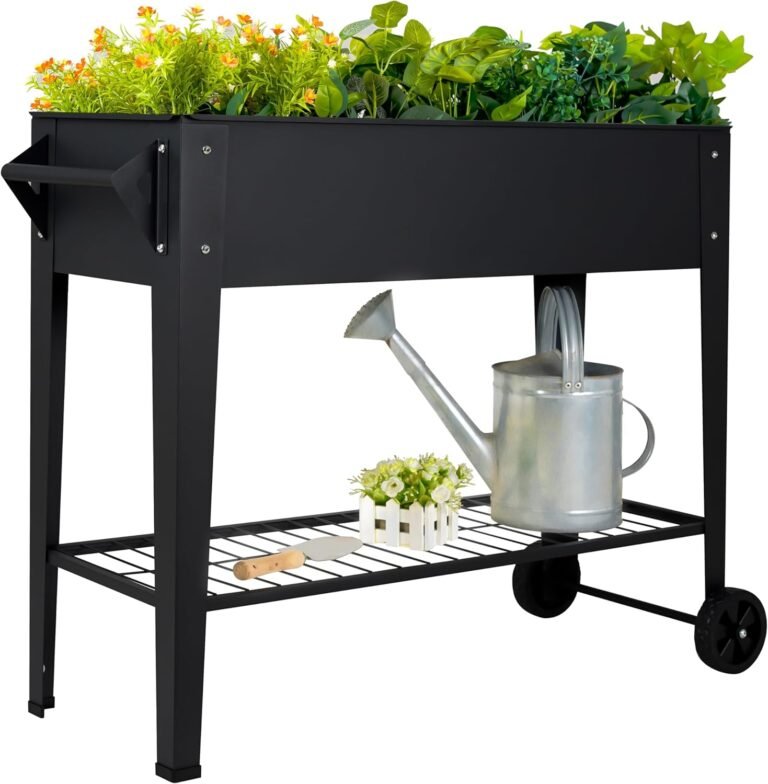 Raised Garden Beds