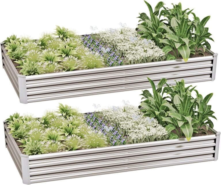 Raised Garden Beds