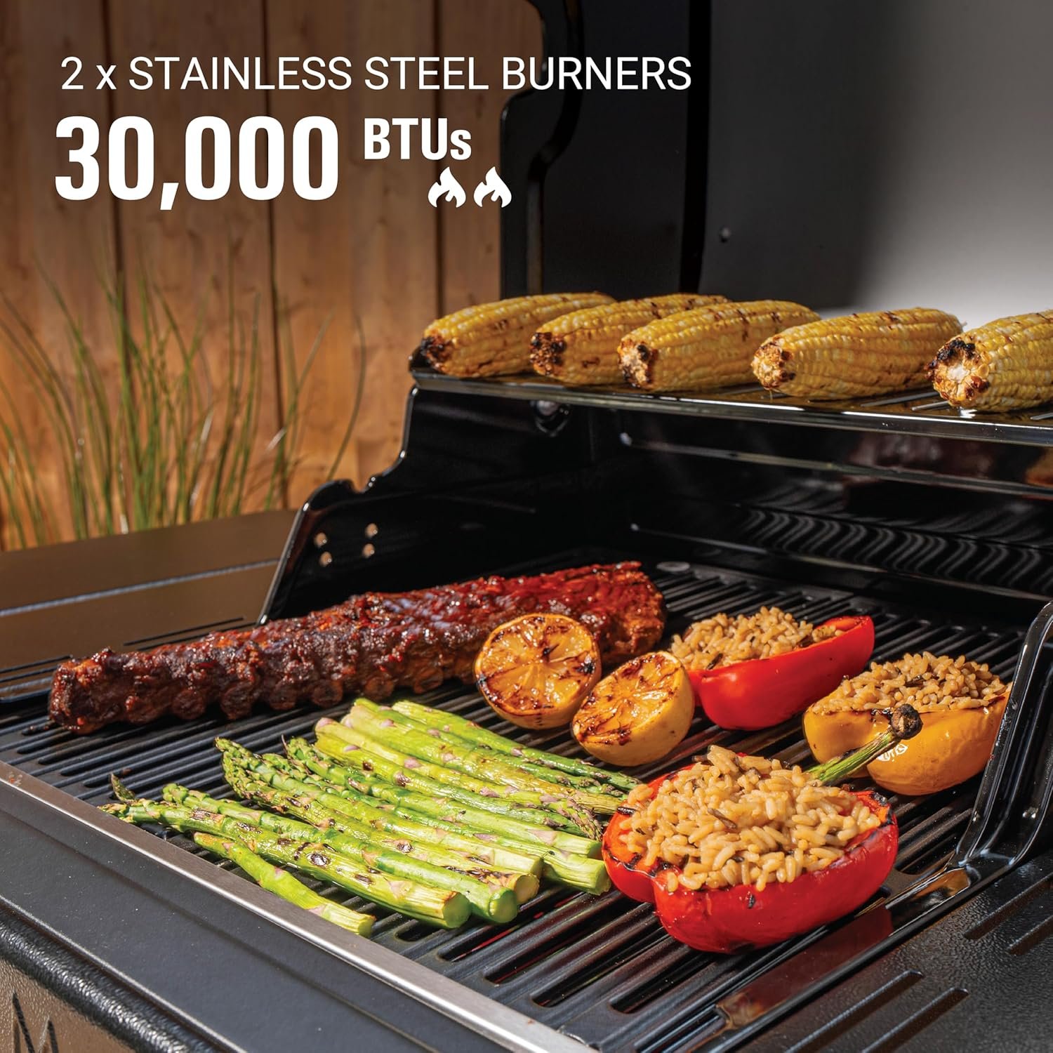 Coleman Revolution 2-Burner Gas Grill, Convertible Propane to Natural Gas, 30,000 BTU, 440 sq in Cooking Area, Outdoor BBQ Grill - Image 9