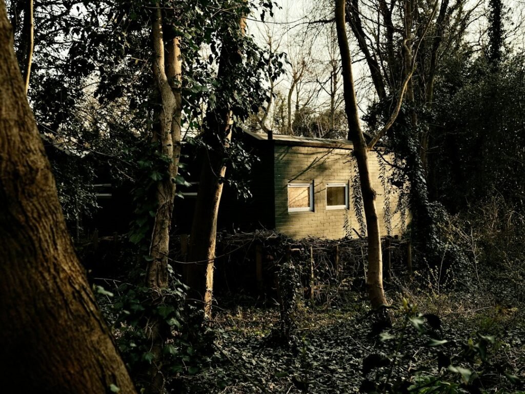 How to Start Living Off Grid: A Beginner’s Step-by-Step Guide