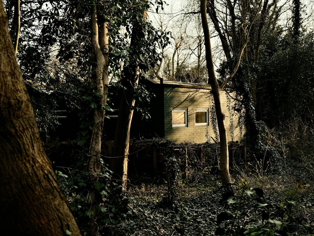 How to Start Living Off Grid: A Beginner’s Step-by-Step Guide