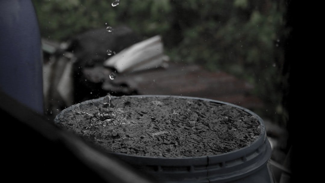 Rainwater Harvesting for Beginners: What You Need to Know