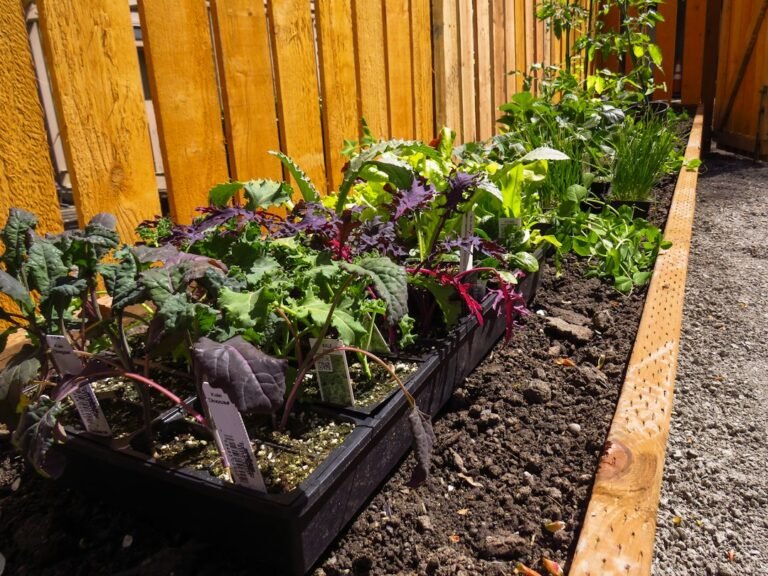 How to Start a Self-Sufficient Garden for Off-Grid Living