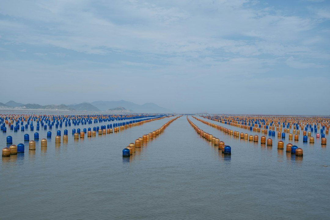 Rows of blue and orange buoys in the water