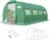KING BIRD Premium 20x10x6.6FT Greenhouse for Outdoors Large Walk-in House