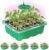 Bonviee Seed Starter Trays with 12-LED Grow Lights, Green, 5 Pack