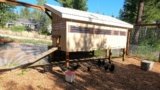 8 Best Chicken Coops for Backyard Homesteads in 2026