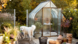 8 Best Greenhouse Kits for Year-Round Gardening in 2026