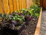 How to Start a Self-Sufficient Garden for Off-Grid Living
